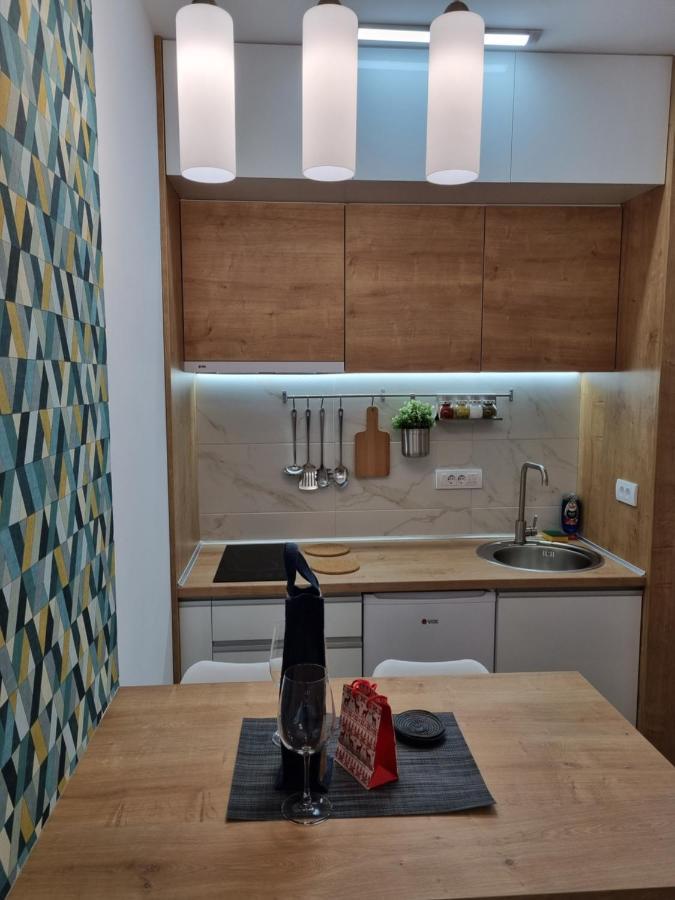 Bankovic Apartman Vrnjačka Banja Zewnętrze zdjęcie