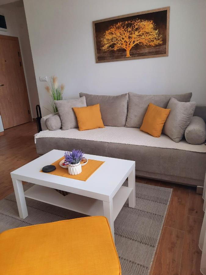 Bankovic Apartman Vrnjačka Banja Zewnętrze zdjęcie