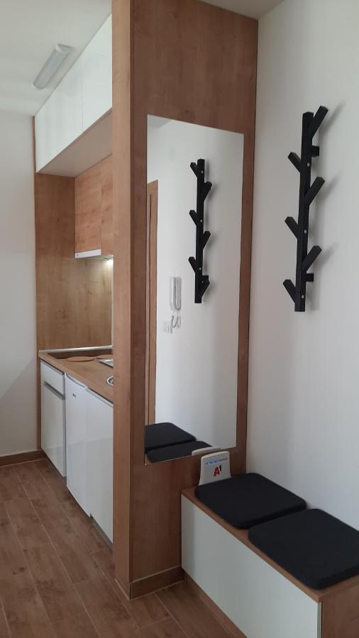 Bankovic Apartman Vrnjačka Banja Zewnętrze zdjęcie
